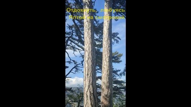 3 места по пути к Ай Петри