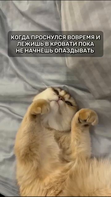 Доброе утро
