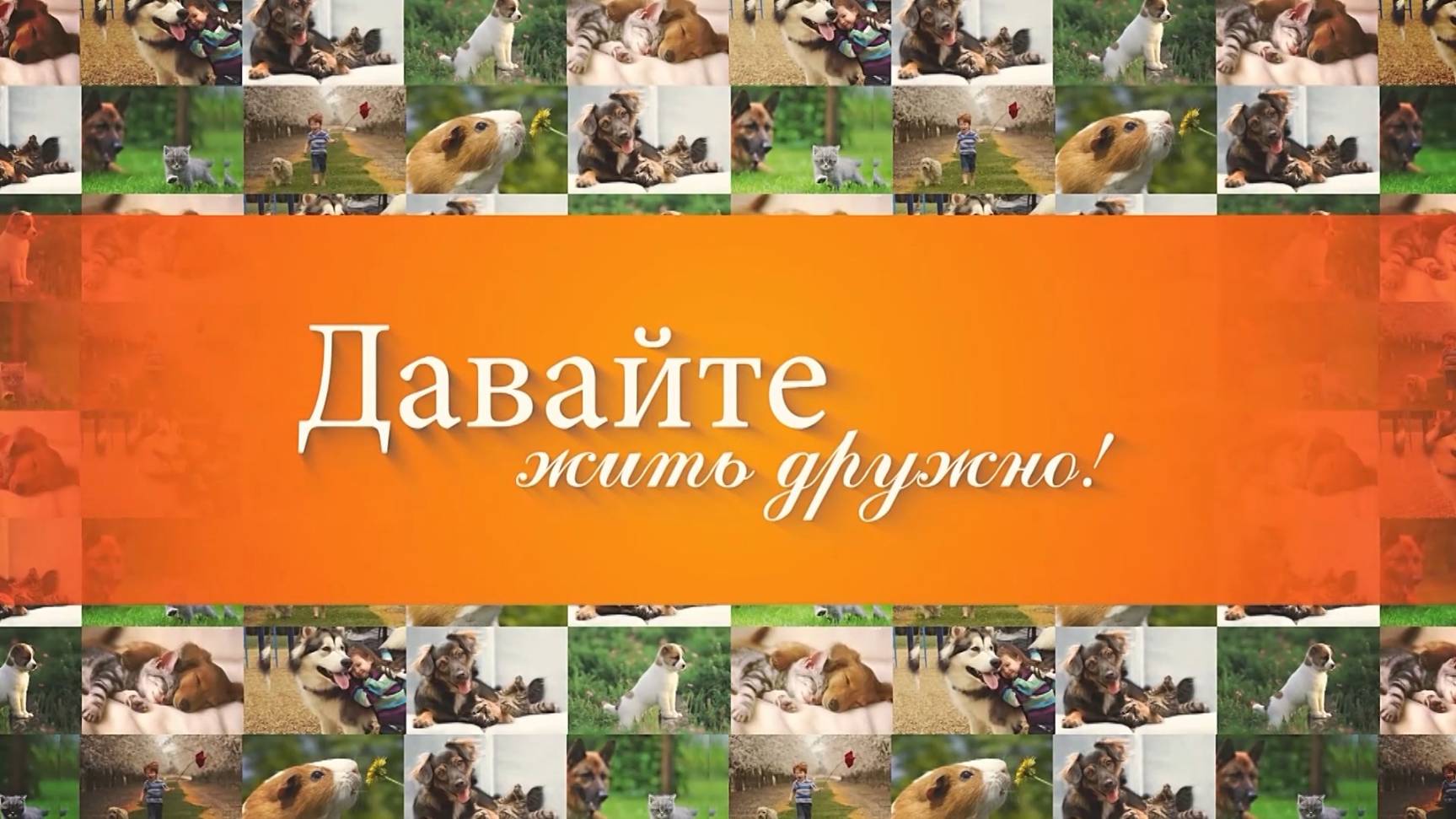 Давайте жить дружно