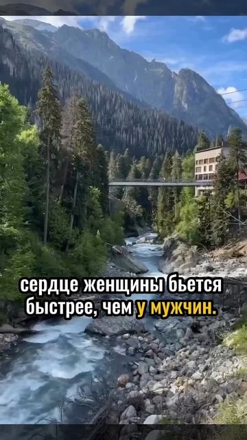 Психологические факты про женщин