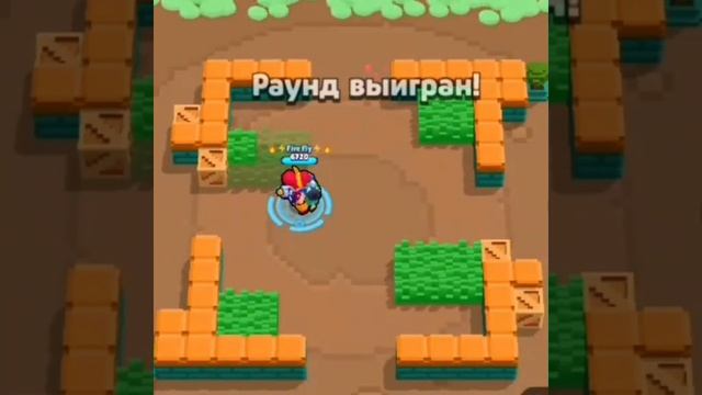 1000005283.mp4