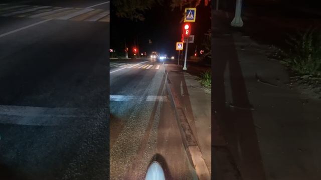 Пробую мед, ем на поле, общаюсь с людьми исследуют рынки
