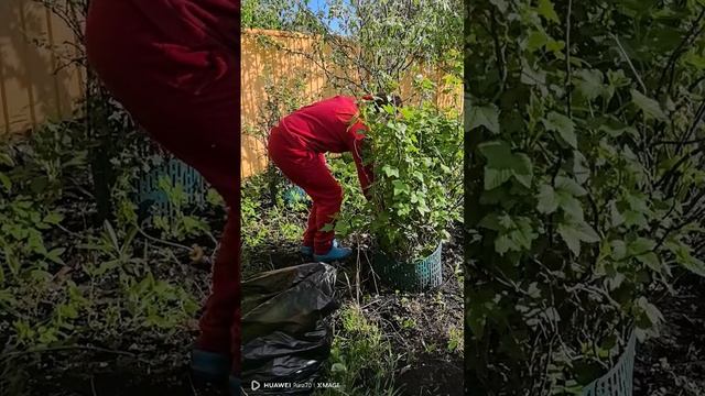 Мы с детьми третий раз в Наратлах