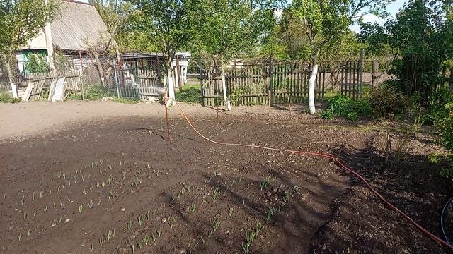 Импульсный дождеватель для полива дачного участка