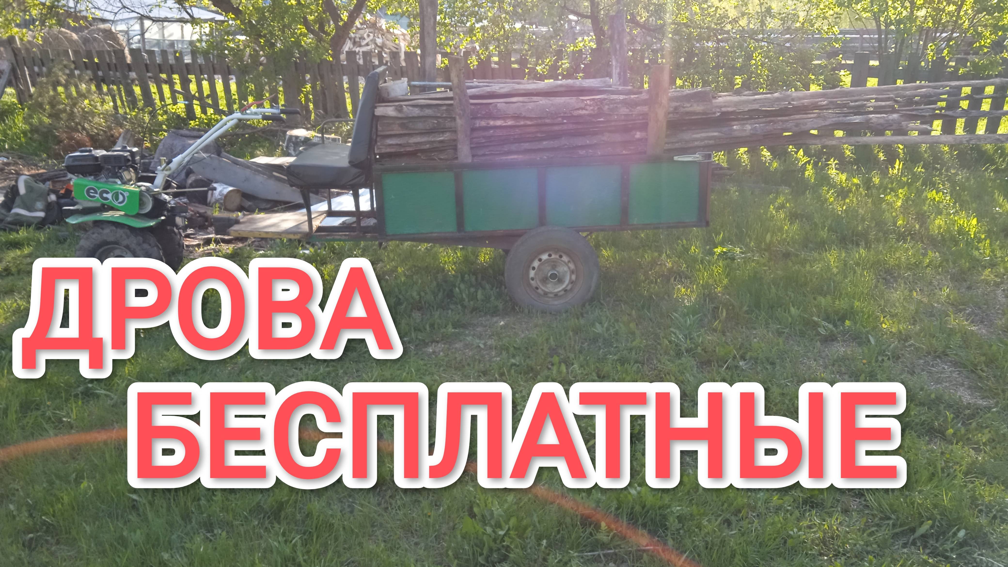 Как взять бесплатные дрова из леса и не нарушить закон полезный лайфхак для деревенских жителей