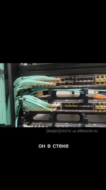 Коммутатор ЦОД MES5400-48 Eltex. Видео[Охота] на eltexcm.ru