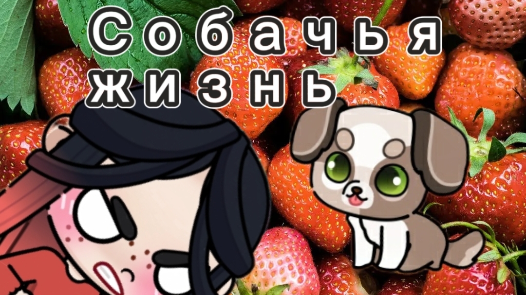 Собачья жизнь.🐕 1 серия.