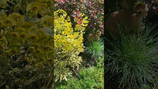 1000445648.mp4