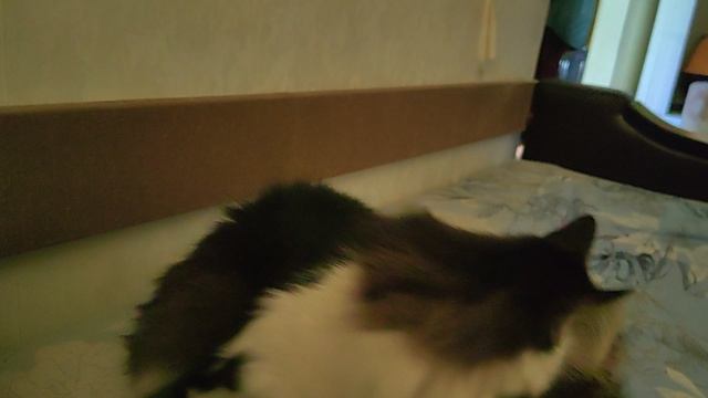 Доброе утро!