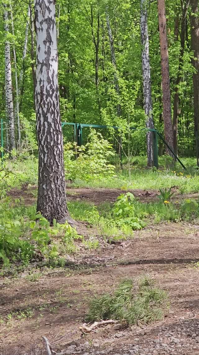 Обзор земельного участка