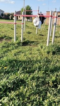 трюк кошака