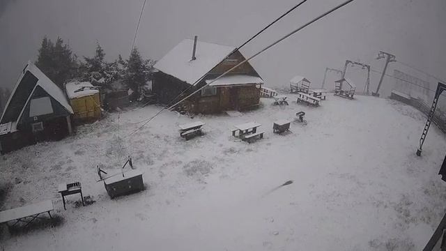 ❄️ Погодная аномалия: во Львовской области выпал снег в мае