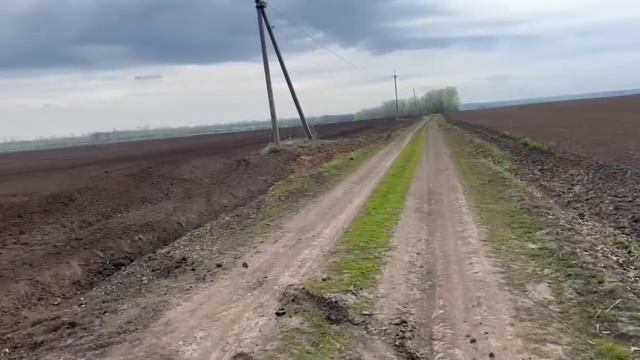 Передали авто на ЗСУ‼️дощі підганяють😱сієм‼️молотимо🌽такого ще не було🛠🚜💙💛