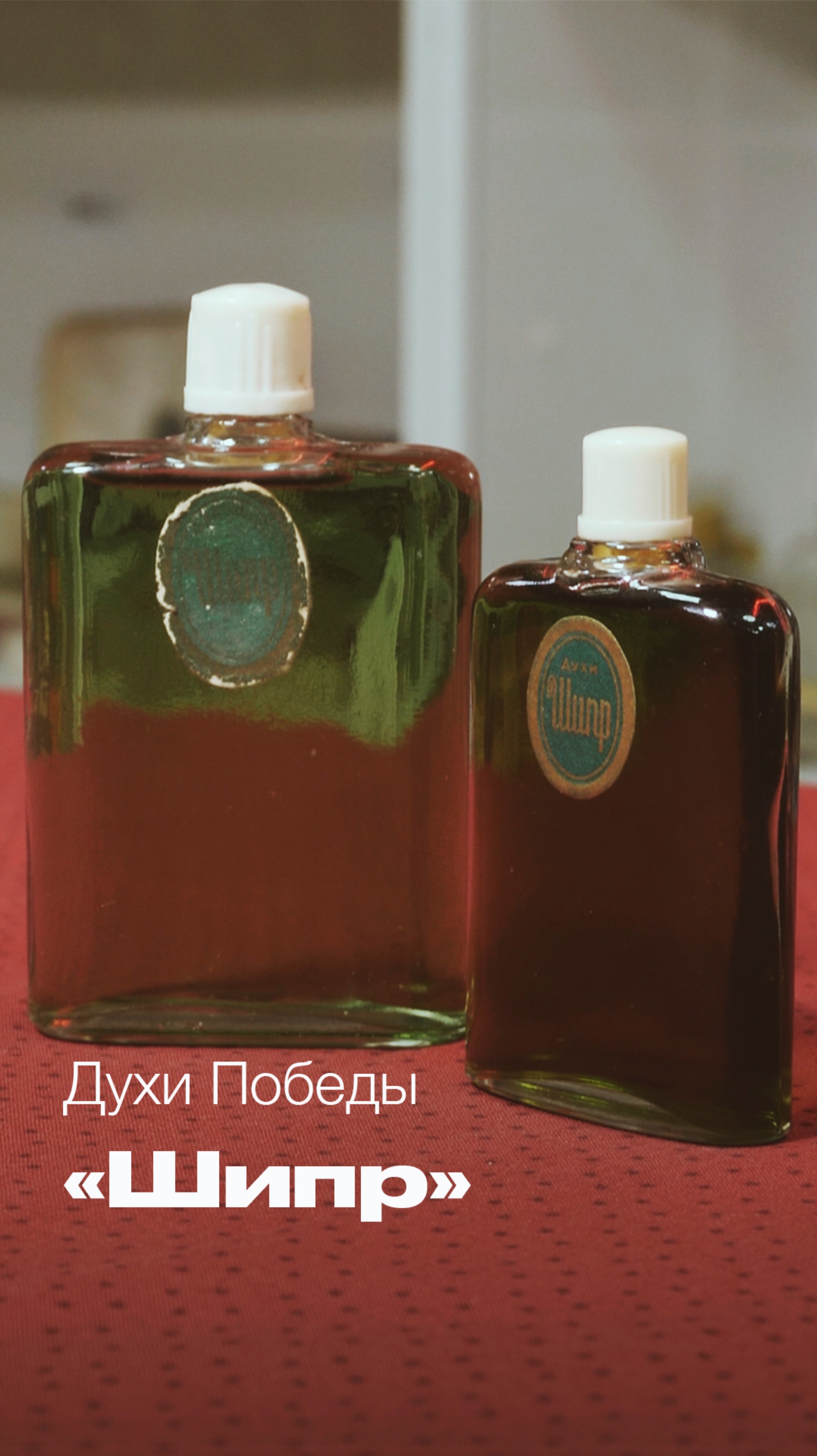 Ароматы Победы. Духи и одеколон "Шипр"