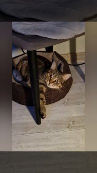 Ты прекрасен как Исус