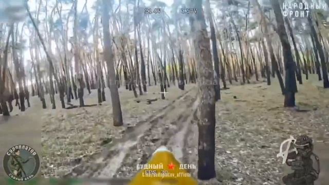 Охота на ВСУ при помощи FPV-дрона в лесах Харьковской обл.