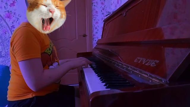 и лайка не будет 😞