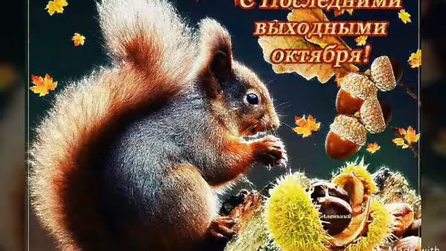 Счастья тебе,много,много！