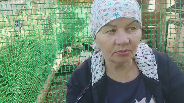 Сегодня про внучек рассказываю. Три дня мы ее искали. Сегодня нашла...