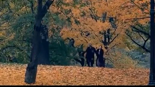 Верона Шумилова, Так хочется тепла!, муз. и исп. #СамуилФрумович