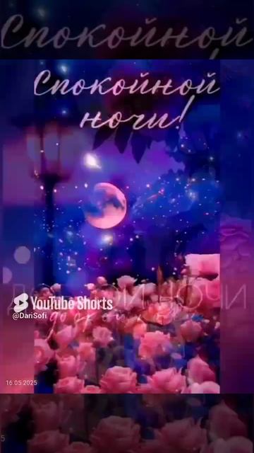 VID_20250516133902