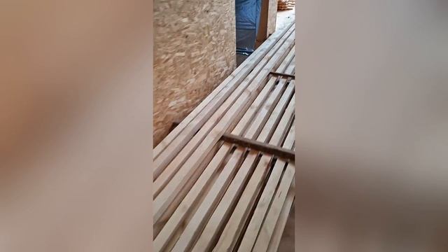 1000023870.mp4 (Собака наблюдает за утеплением (г/изоляцией) нового дома А-фрейм)