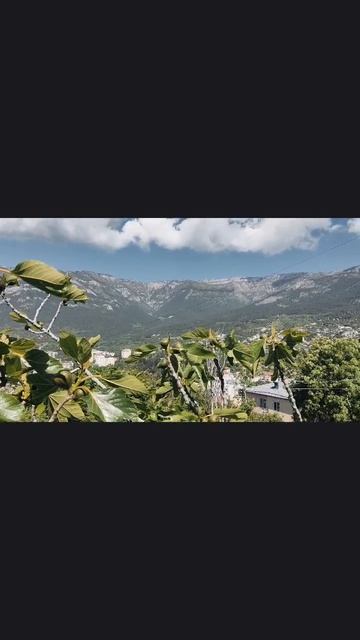 Ялта