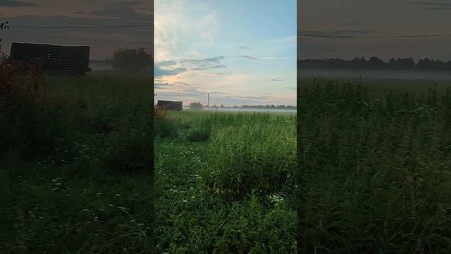 😁Деревня 👍баня 😇Вечерняя дымка это просто обалдет?