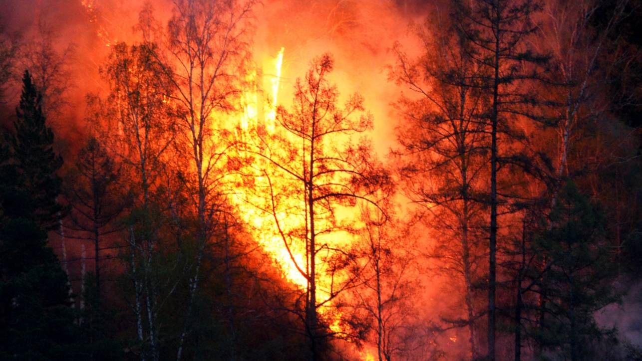 Новый день — новый очаг: пожары в Забайкалье тушит самолет-амфибия Бе-200