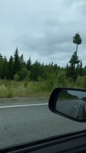 Дорога-в-екб