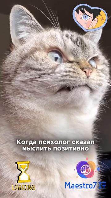 💡 Когда психолог сказала мыслить позитивно ...