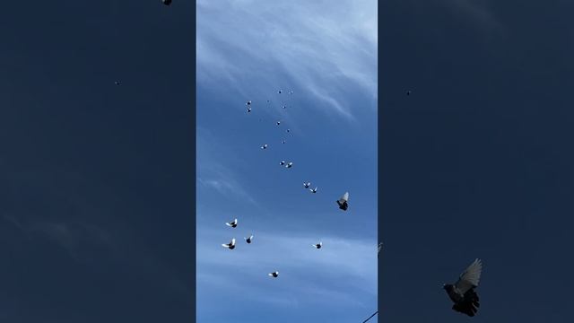 10 мая 2024 г.