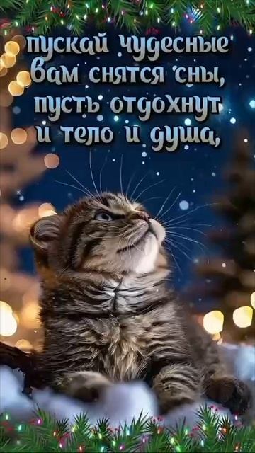 Спокойной ночи