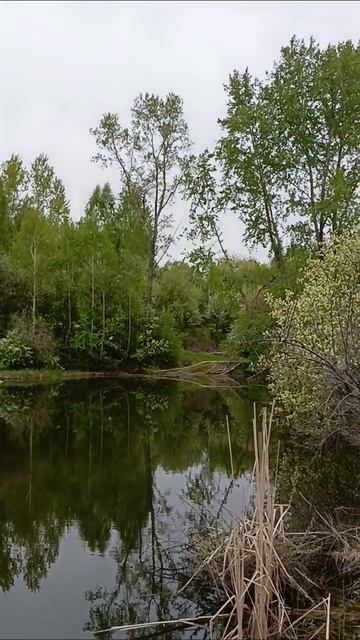 полёт
