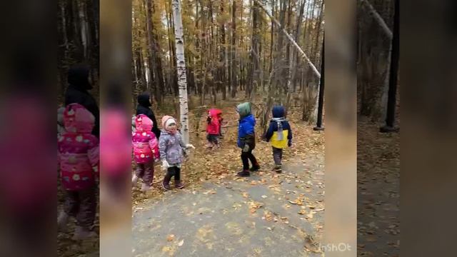 Прогулка Золотая осень