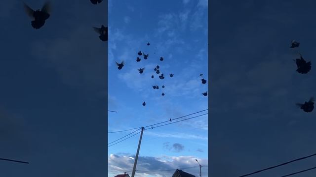 6 июня 2024 г.