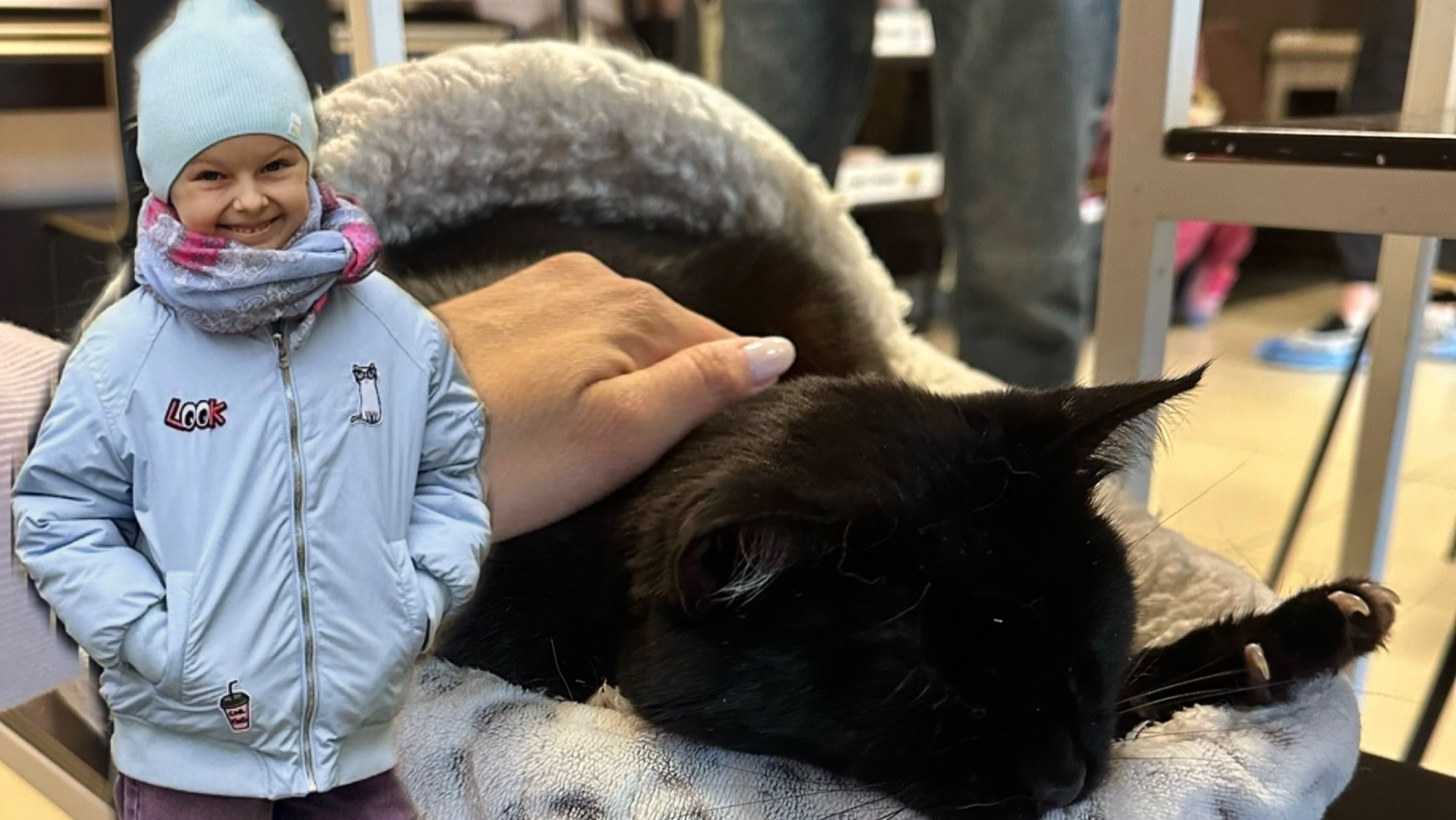 Посетили с Милой котокафе в Питере