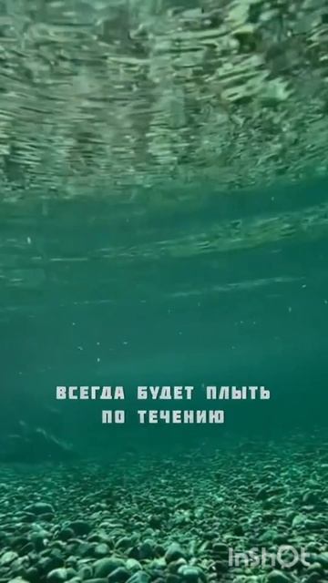 трендовые имена 😂