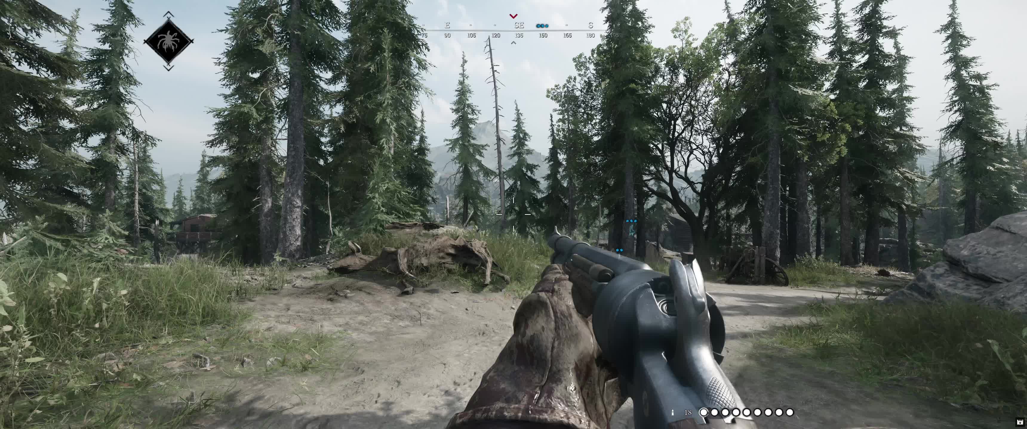 Hunt Showdown 1896 co-op
