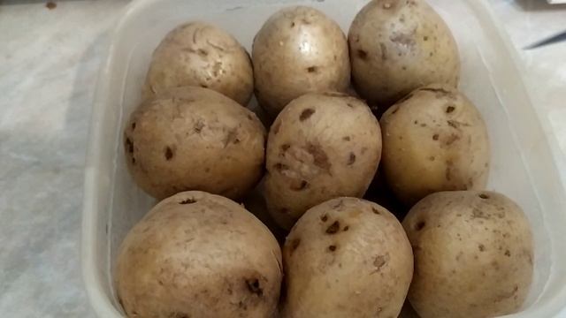 Запекаю картошку в микроволновке в большом контейнере