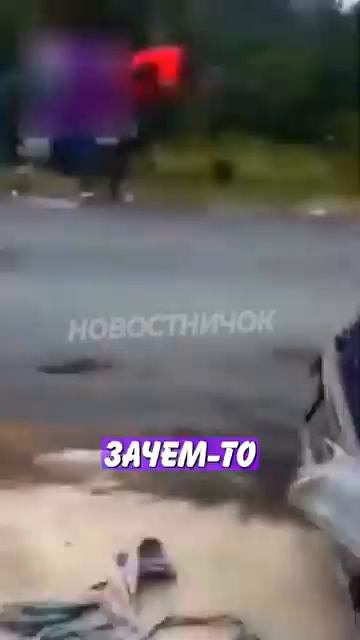 Новостничок (10)