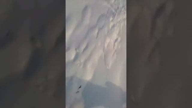 Как правильно играть в снежки