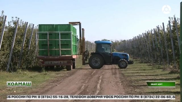 Наха балха моттигаш в1ашт1ехьайоахаш