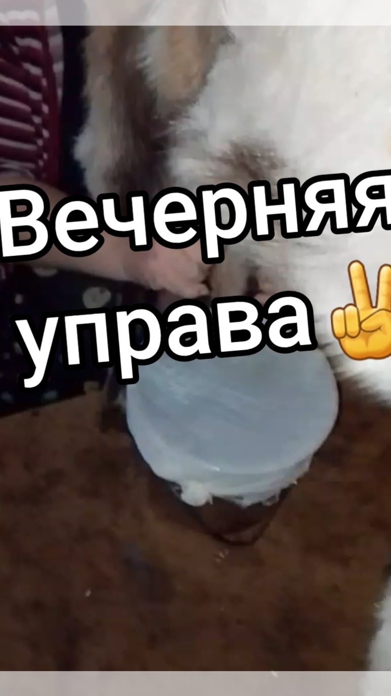 Невозможное -  возможно если сильно этого захотеть!