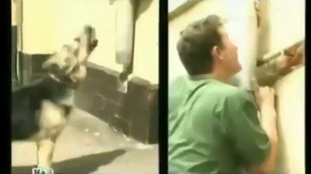 ПОДБОРКА ЗАСТАВОК из СЕРИАЛОВ и ТВ программ из нашего детства