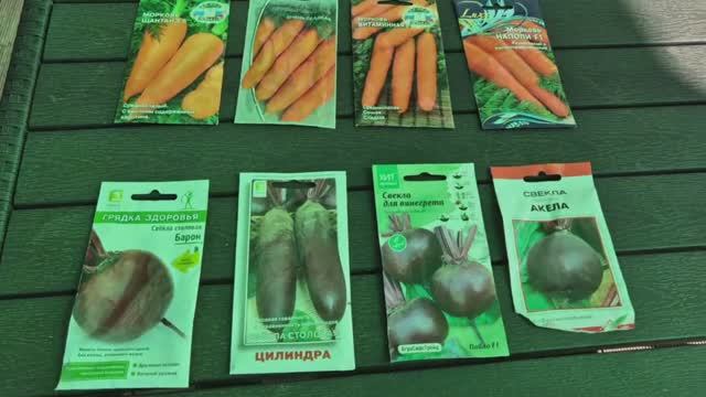Посадка моркови и свёклы