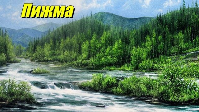 Пижма
