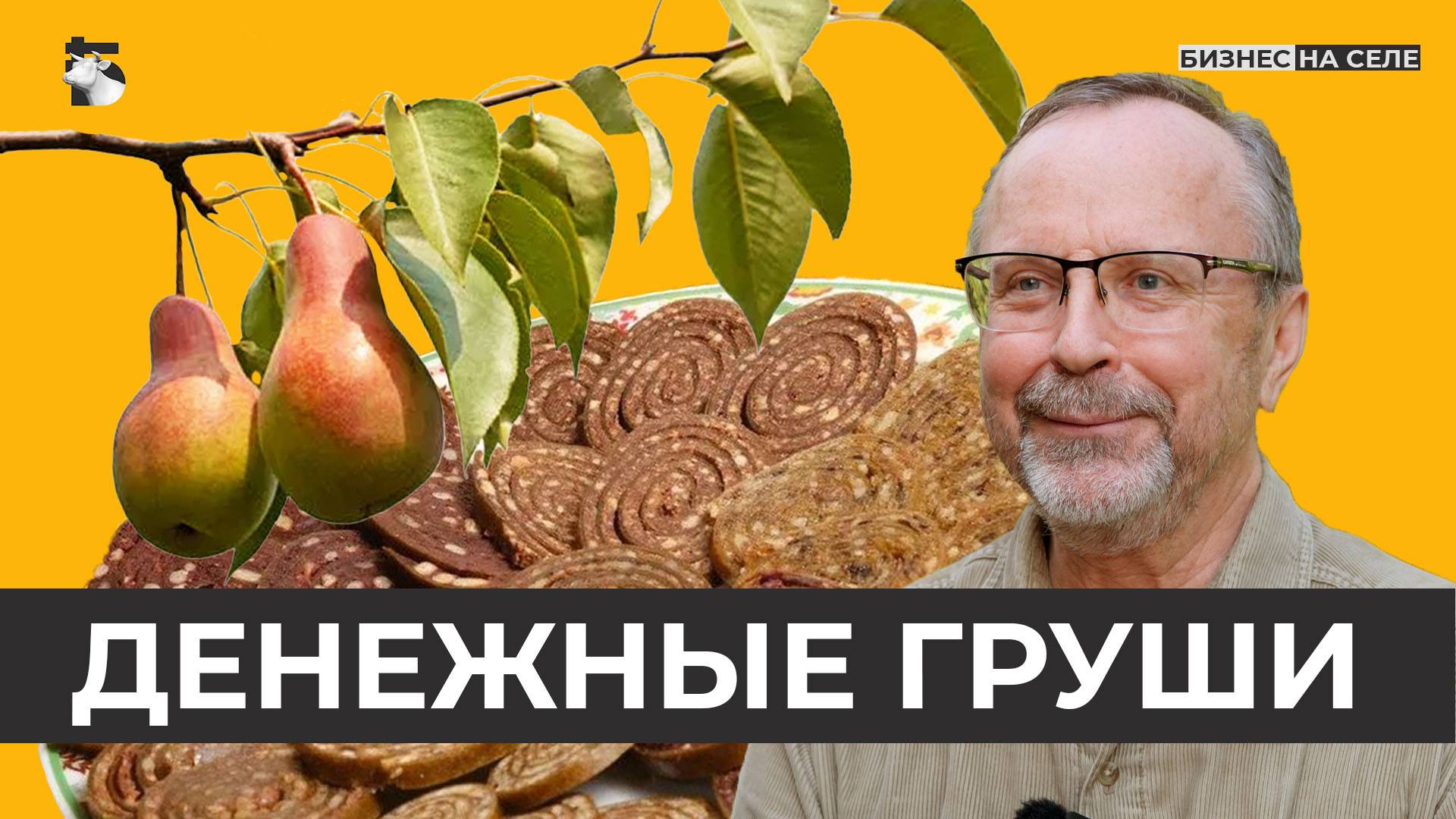Фермер из Татарстана посадил самый большой в республике грушевый сад и возродил татарский десерт