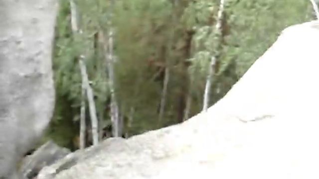 DW/ Природники/ Соколиный камень/ Вид со скалы