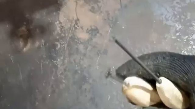 Как сделать шило из подручных средств.